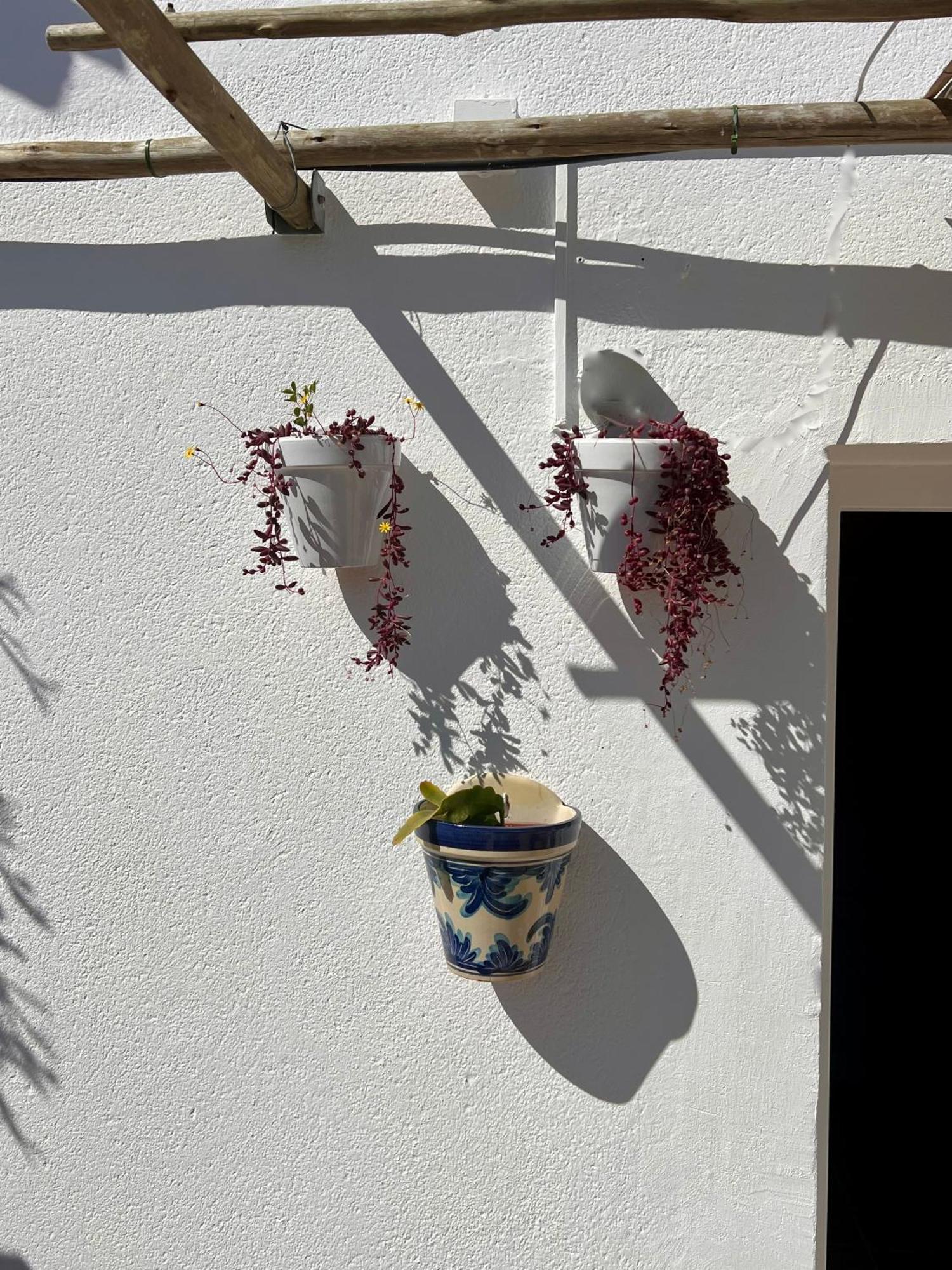 Gmhouse Minorca Gmh Villa Cala'N Bosch  Exterior photo